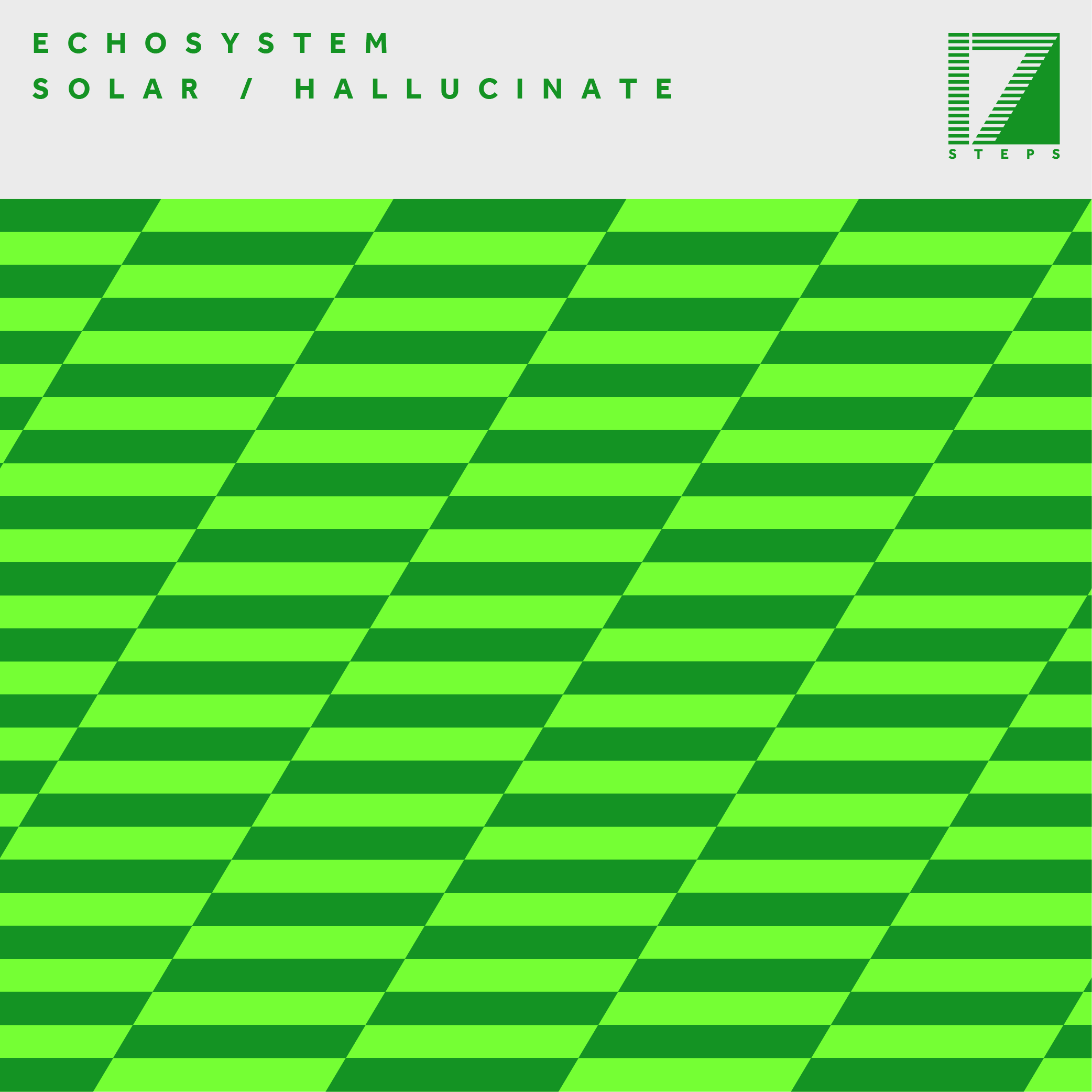 ECHOSYSTEM – SOLAR / HALLUCINATE